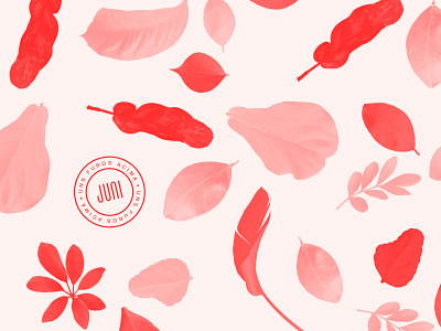 Juni — 02 brand branding floral graphic design logo