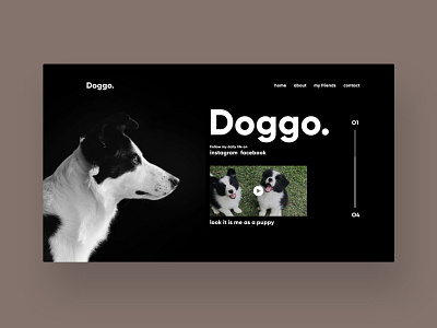 Doggo Concept Design design designinspiration dog doggo dogs infinite information inspiration menu pet social ui uidesign uiux uiuxdesign uixdesign ux