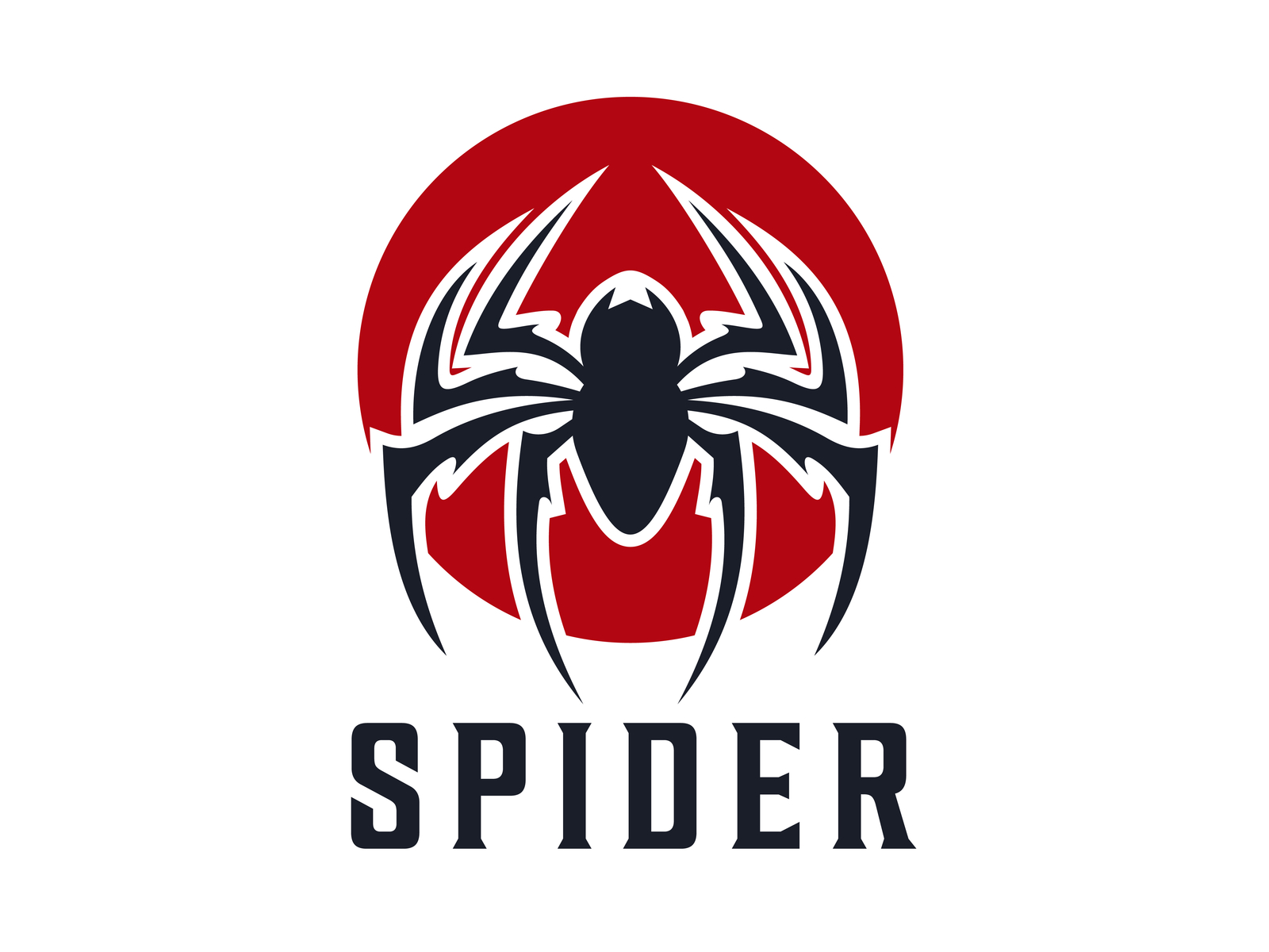 Spider by Frog_ground on Dribbble