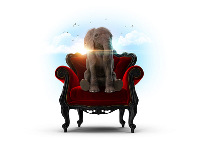 Elephant compositing design photoshop