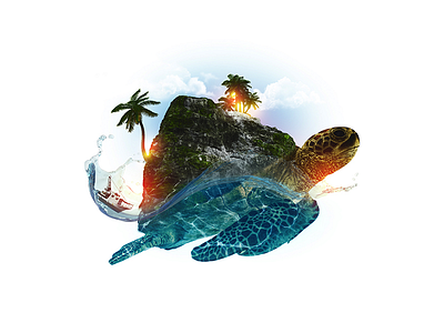 Turtle compositing photoshop