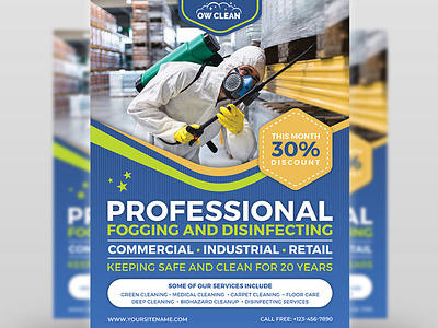 Disinfecting and Cleaning Services Flyer Template