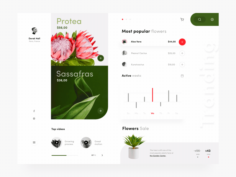 Flower Ecommerce Dashboard animation basket buttons dashboard design flat flower flower crown graph green icons motion selection store typography ui user ux web