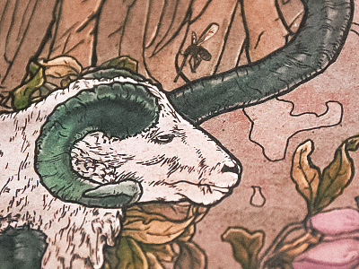 Illustration #1 aries artnouveau colorful craft drawing handmade illustration outline sheep