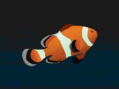 Finding Nemo clownfisch debut debutpost design illustration nemo pixar vector