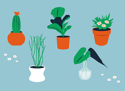 House Plants Illustrations cactus cute flower hobbies home icon illustration pattern plant vector