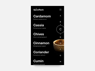 Daily UI #085 - Pagination alphabetical app challenge cinnamon design directory letters mockup pagination spice spices ui ux wireframe