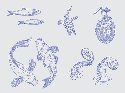 Line illustrations for a book book fish guidebook holiday holiday book illustration illustrations line lines octopus travel guide turtle