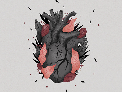 Heart Illustration