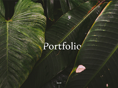 Homepage Portfolio