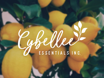 Logo Design - Essential Oil branding essential oils logo handwritten leaf logo simple logo