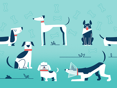 Dog Park basset dogs illustration parks