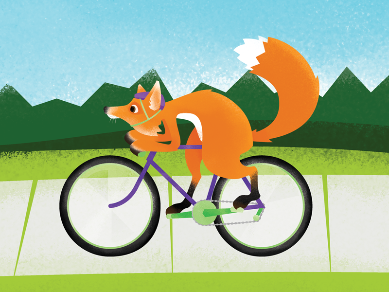 Fox by MATTHIAS SMALE on Dribbble