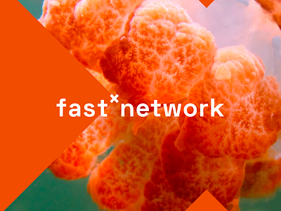 Fast Network Visual Identity branding design formula identity identity branding logo vector