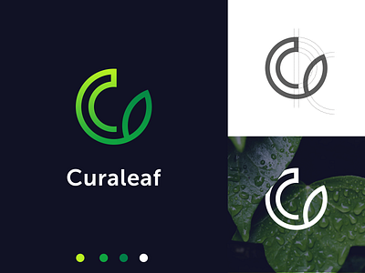 Curaleaf Logo Design (Letter C + Abstract Leaf) brand identity branding graphic design illustration leaf logo letter c logo logo logo design logo designer logo inspiration modern logo