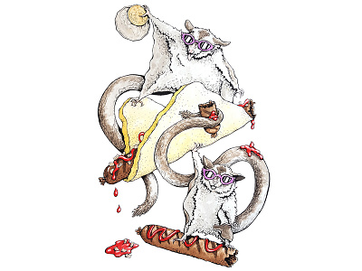 Sugar Gliders on a Sunday animal art animal illustration animals artwork australia australian art book illustration childrens book drawing food food illustration funny art gouache illustration illustrator money nature sausage sausage sizzle watercolor