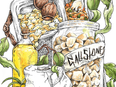 Retreats Are Good For Our artist artwork botanical illustration drawing editorial art editorial illustration food illustration gouache illustration illustrator