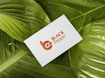 Black Pepper brand identity branding design food food design mobile app