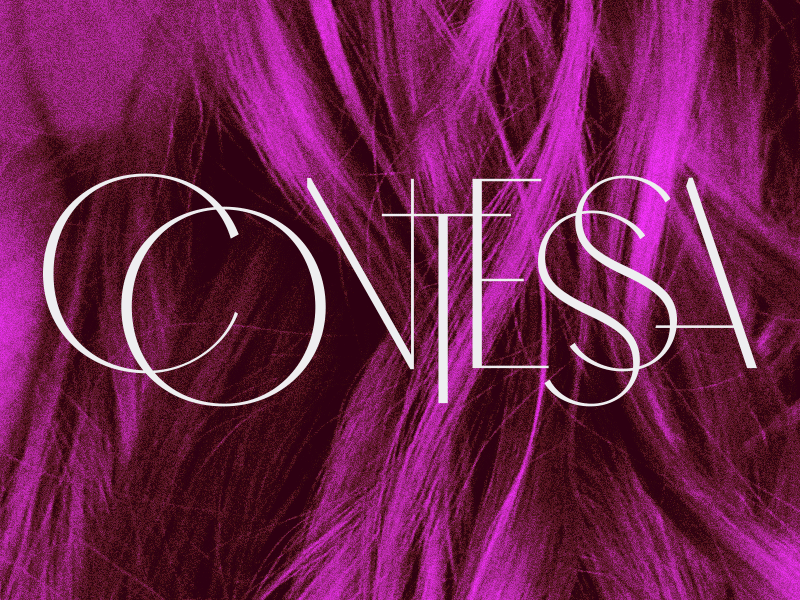 Contessa branding fashion hair logo wordmark