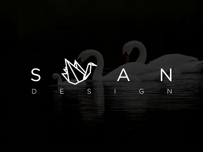 SWAN - Minimal Logo Design art bird brand identity branding business logo creative design icon illustration logo logo design minimal studio swan