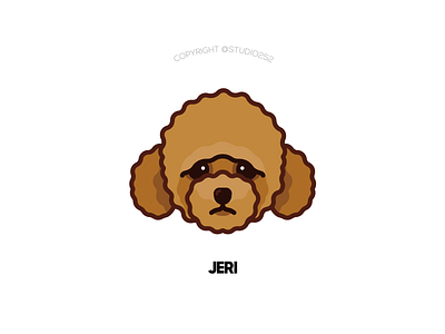 Jeri the poodle