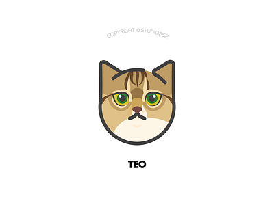 Teo the cat artwork cat character icon illustration logo vector