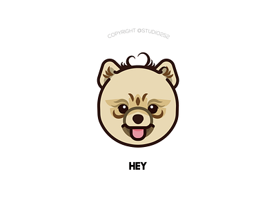 Hey the pomeranian