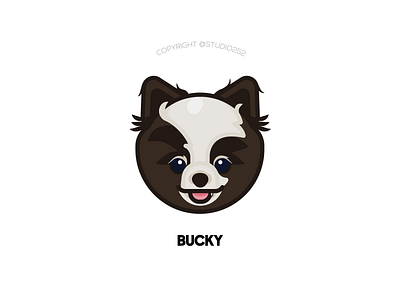 Bucky the pomeranian artwork character dog icon illustration logo puppy vector