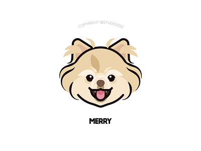 Merry the pomeranian