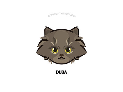 Duba the cat