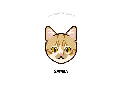 Samba the cat