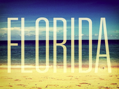 Florida florida instagram pixel patterns seagull univers