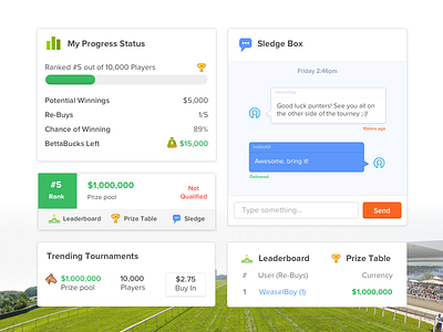 Widgets! betting blue design horse online racing ui user experience user interface ux