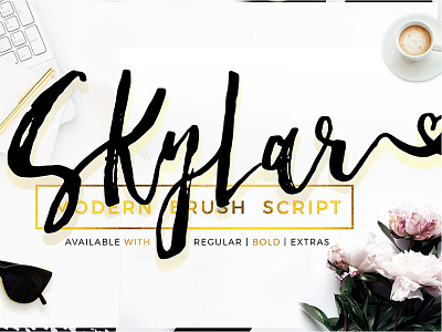 Skylar Font - Modern Dry Brush Script 