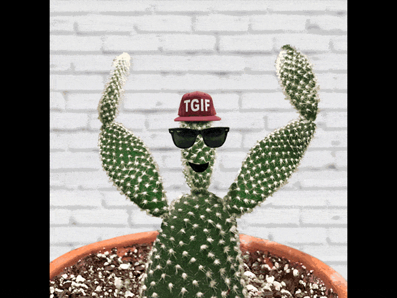 TGIF! animation cactus dance dancing gif tgif