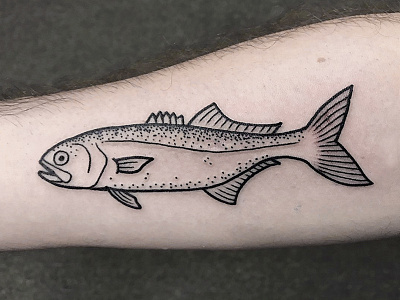 Fish Ink bluefish fish illustration ink linework stipple tattoo