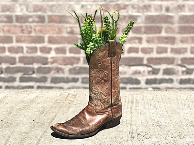 Boot boots brick cacti cactus cowboy leather photography plants recycled secondhand succulents wester
