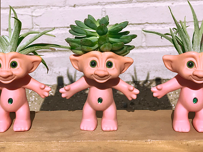 Trolls! 90s airplants dolls hair haironpoint nostalgia plants succulents throwback toys trolldolls trolls