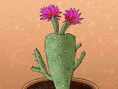 Spring Flower bloom cactus cactusbloom cactusflower digital painting flowers handdrawn illustration photoshop spring succulents texture