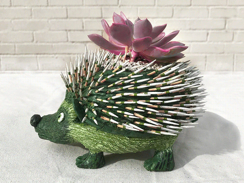 Hedgehogs Succ beauty glamorous hedgehogs illustration painting plants sculpey sculpture succulents