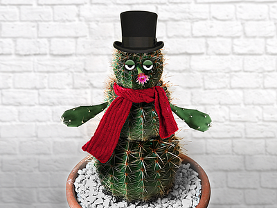 F*ck Winter cactus photoshop plants retouching snow snowman succulents winter