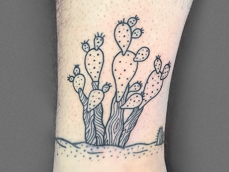 Cactus Ink 2 cactus desert doodles drawing illustration ink plants succulents tattoo