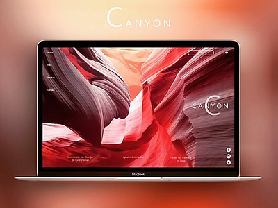 CANYON Landing page