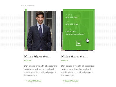 Profile style for law website