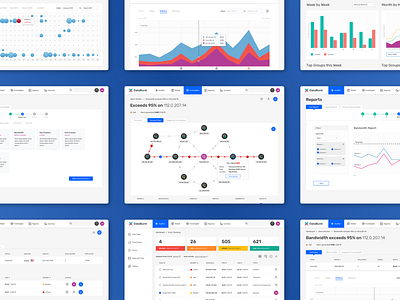 DataBurst - Concept for IT Management Software app branding design ui ui design