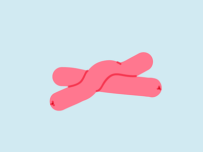 Wieners illustration vector