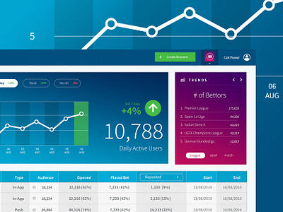 Analytics Dashboard for Betting Company design ui ux