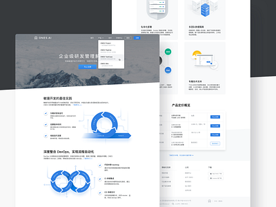 Official website for DevOps project chinese design icon landing page landing page ui mountain official pricing program project server tob todo ui web website