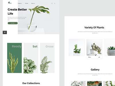 Plant Website Design adobe xd plant uidesign uiux webdesign