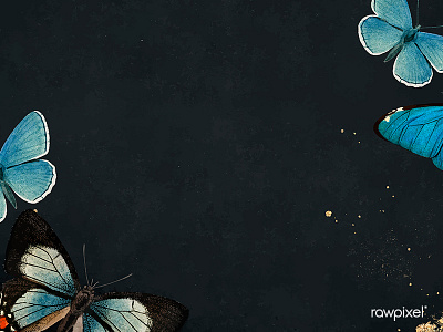 Blue butterflies patterned on black background vector